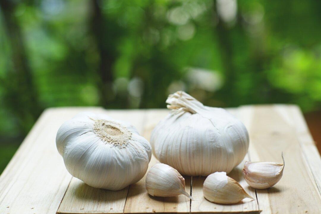 Growing Your Own Garlic Is Like a Breath of Fresh Air