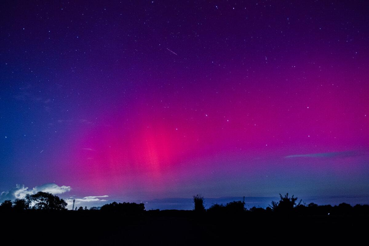 A pink-colored aurora borealis visible in the starry sky at mid-latitudes, over trees and fields in the countryside in Rouans, in Loire-Atlantique, western France, on Oct. 10, 2024. (Maylis Rolland, Hans Lucas, Hans Lucas/AFP via Getty Images)