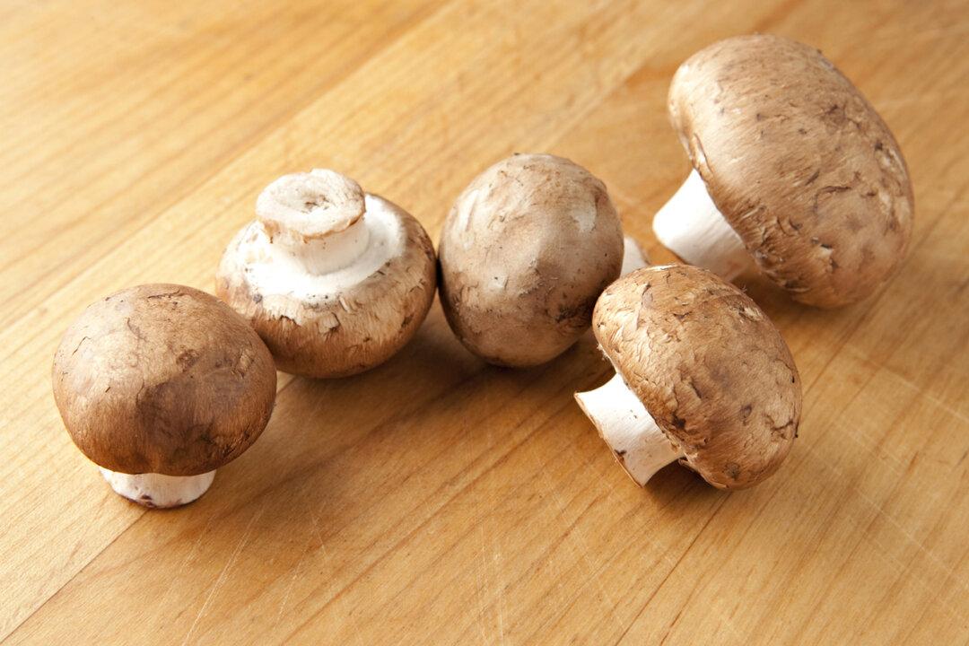 It’s Time to Ease Back Into Comfort Food Season