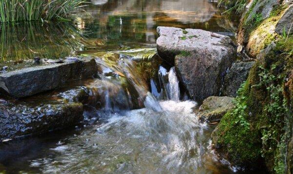 A stream flows through rocks at Fresno's Shinzen Friendship Garden in Woodward Park in Fresno, Calif., on Sept. 5, 2024. (Eric Paul Zamora/The Fresno Bee/TNS)