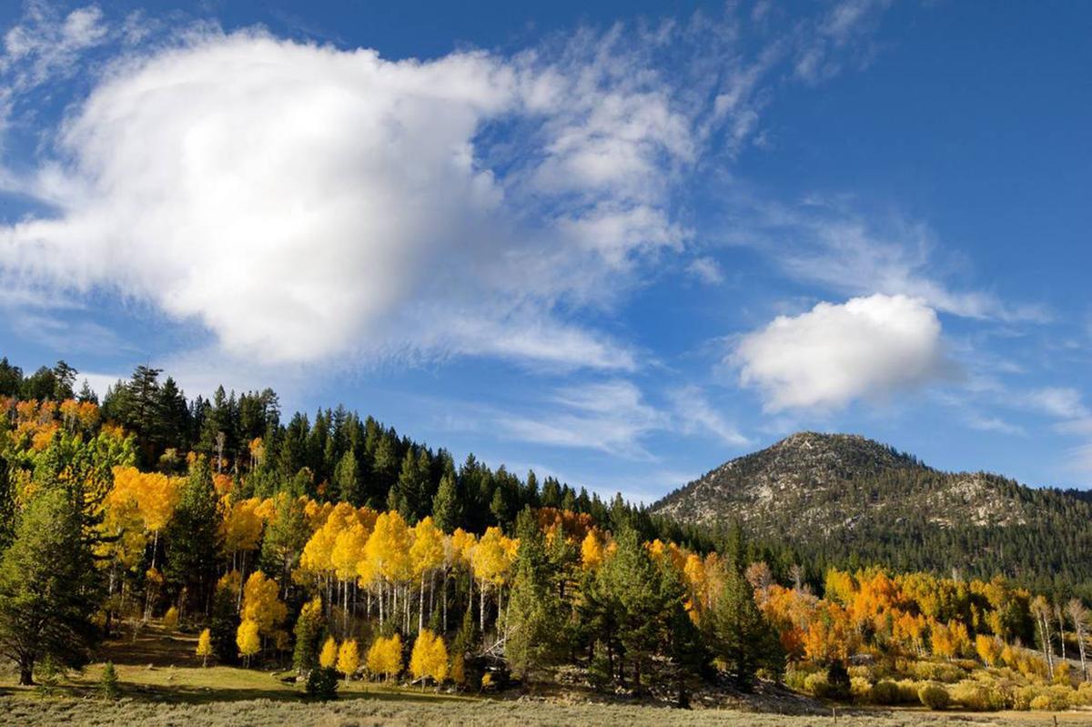California’s Fall Color: There’s Still Time for Leaf-Peeping in the Golden State