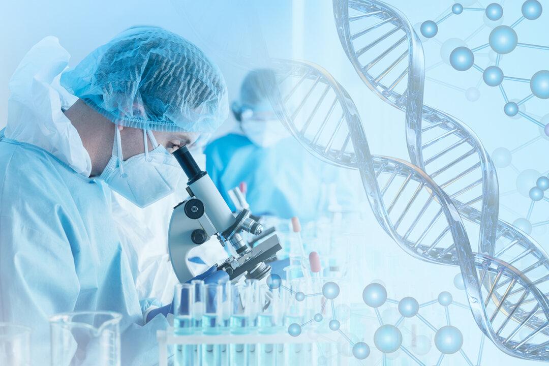 Clinical Study on Blushield EMF Protection Devices–The Results Are In!