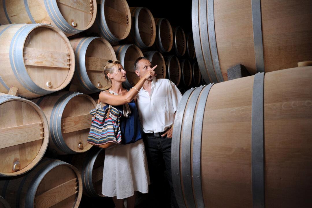 The Best Time to Visit Wine Country