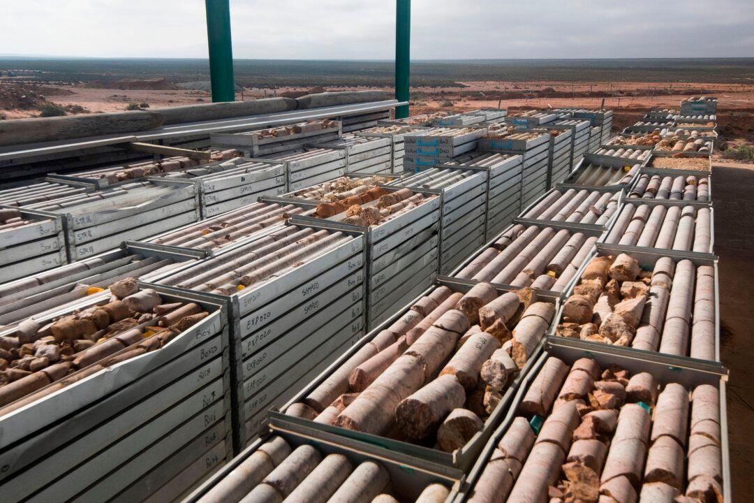 Whether Harris or Trump, Africa Must Top the List in 2025, Say Experts