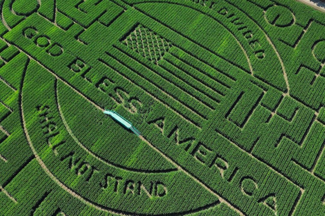 Navigating This World-Record Corn Maze Is a Test of the Human Psyche