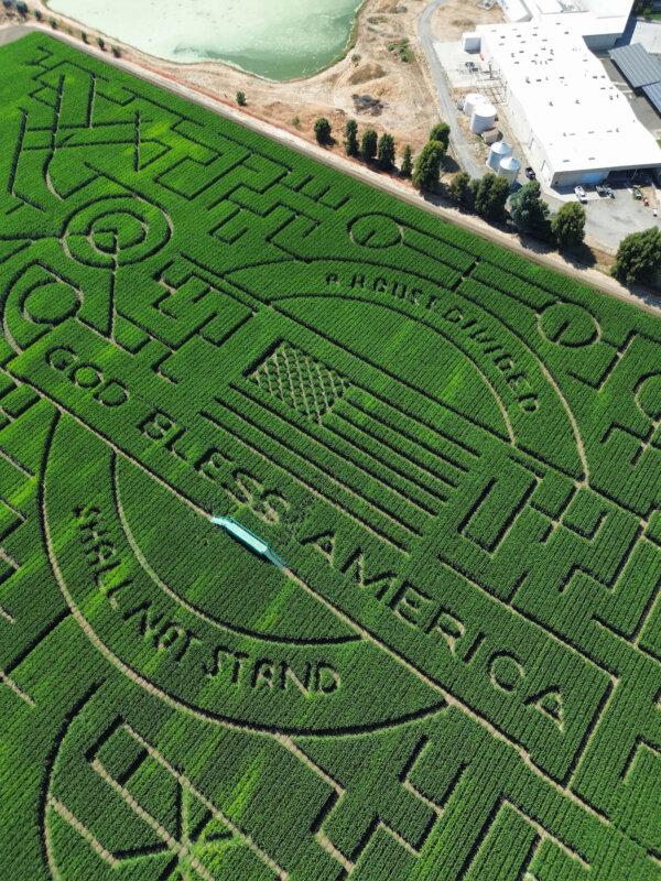 Navigating This World-Record Corn Maze Is a Test of the Human Psyche
