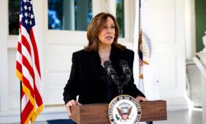 Harris Delivers Closing Argument Speech on the National Mall