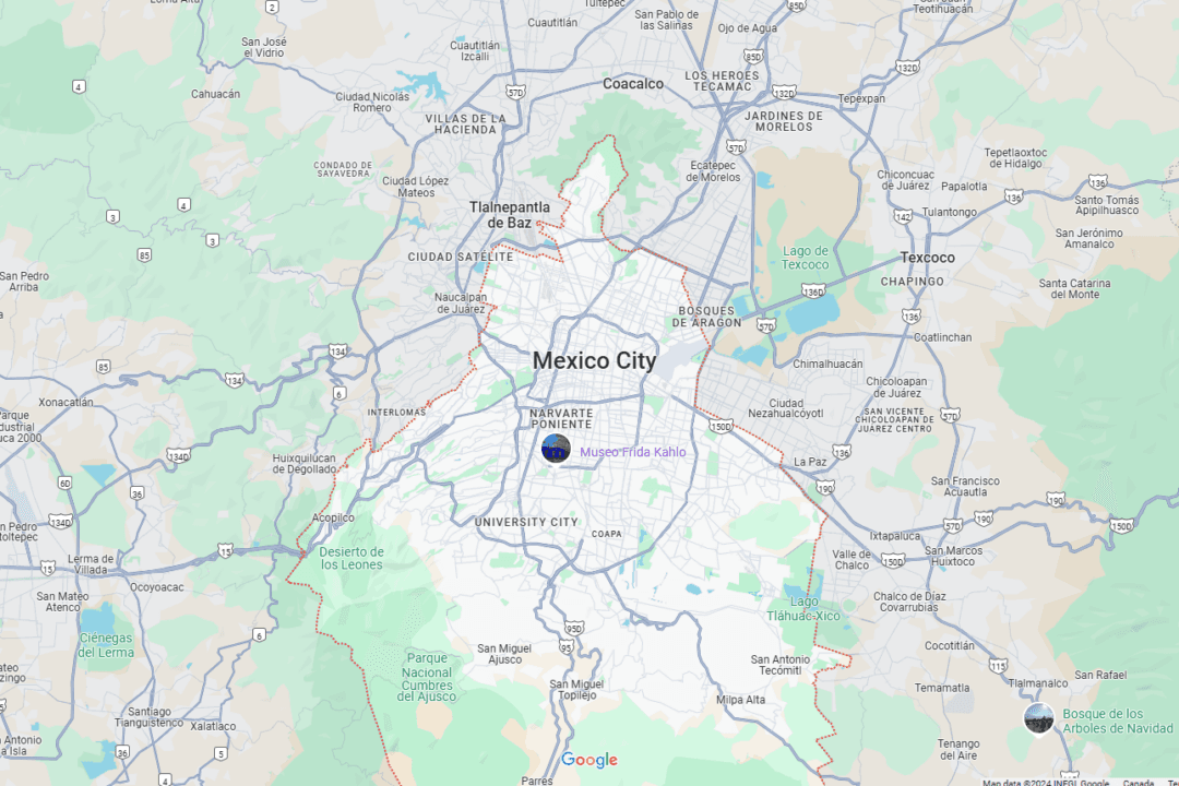 12 Dead and 1 Injured in Explosion at Steel Plant in Central Mexico