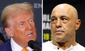 Joe Rogan’s Trump Episode Nets 28 Million Views on YouTube
