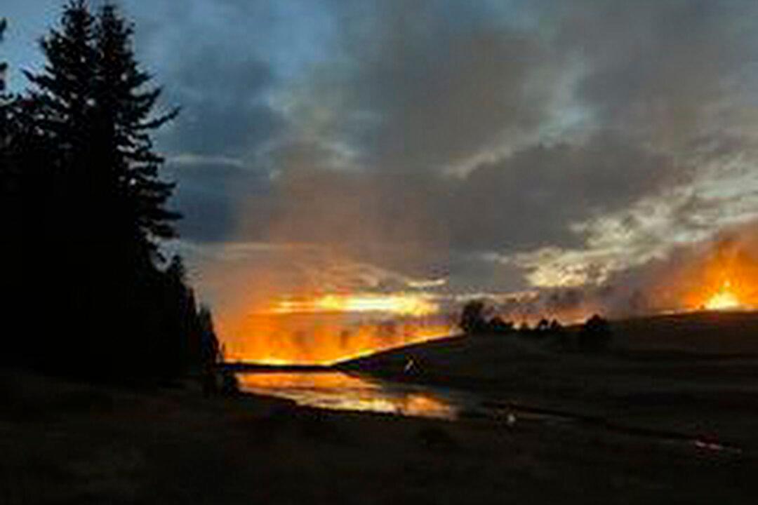 Fire Destroys 1 Home and Forces the Evacuation of 700 Others in Colorado Subdivision