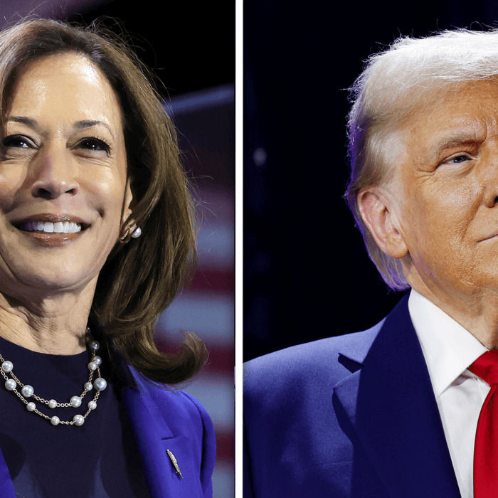 NTD Evening News Full Broadcast (Nov. 3)