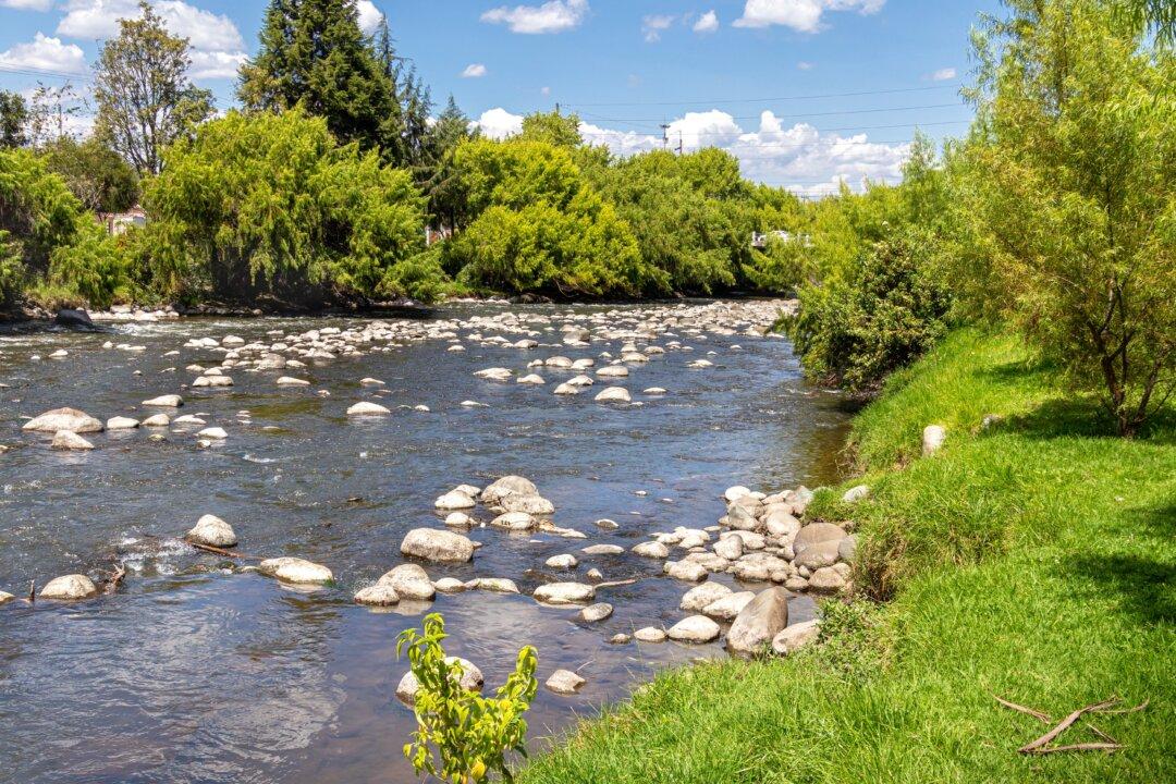 Truck Crashes in Ecuador’s Amazon, Killing 10 People