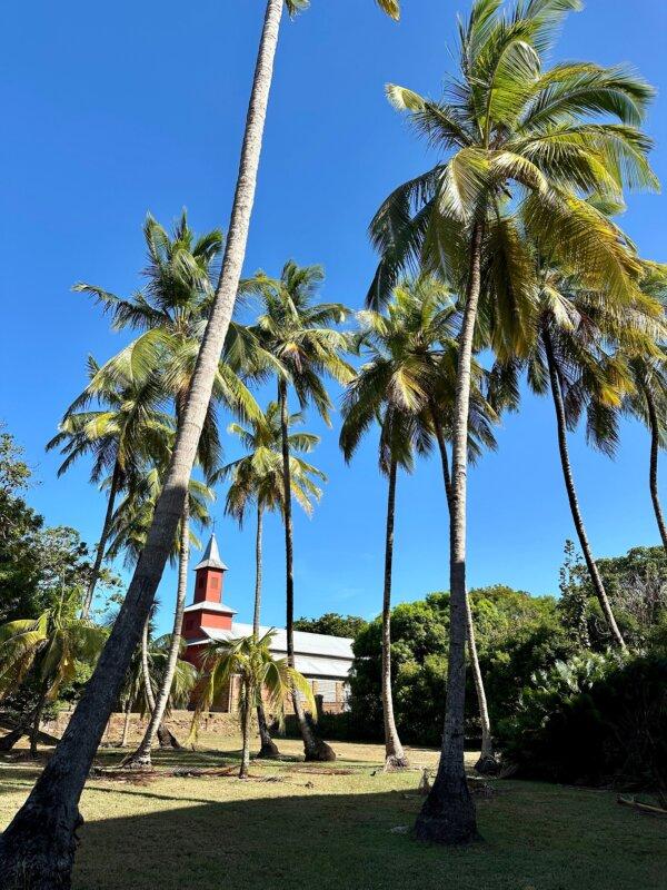 Salvation Islands: Visiting French Guiana