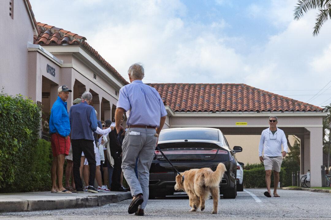 Voters Weigh In on Election Night Plans