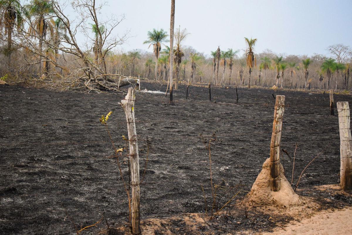 Bolivians Say Private Interest Groups Are Causing Record Fire Devastation in Forests