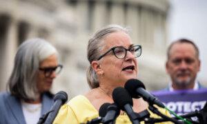 Pennsylvania Rep. Susan Wild Concedes to GOP Challenger