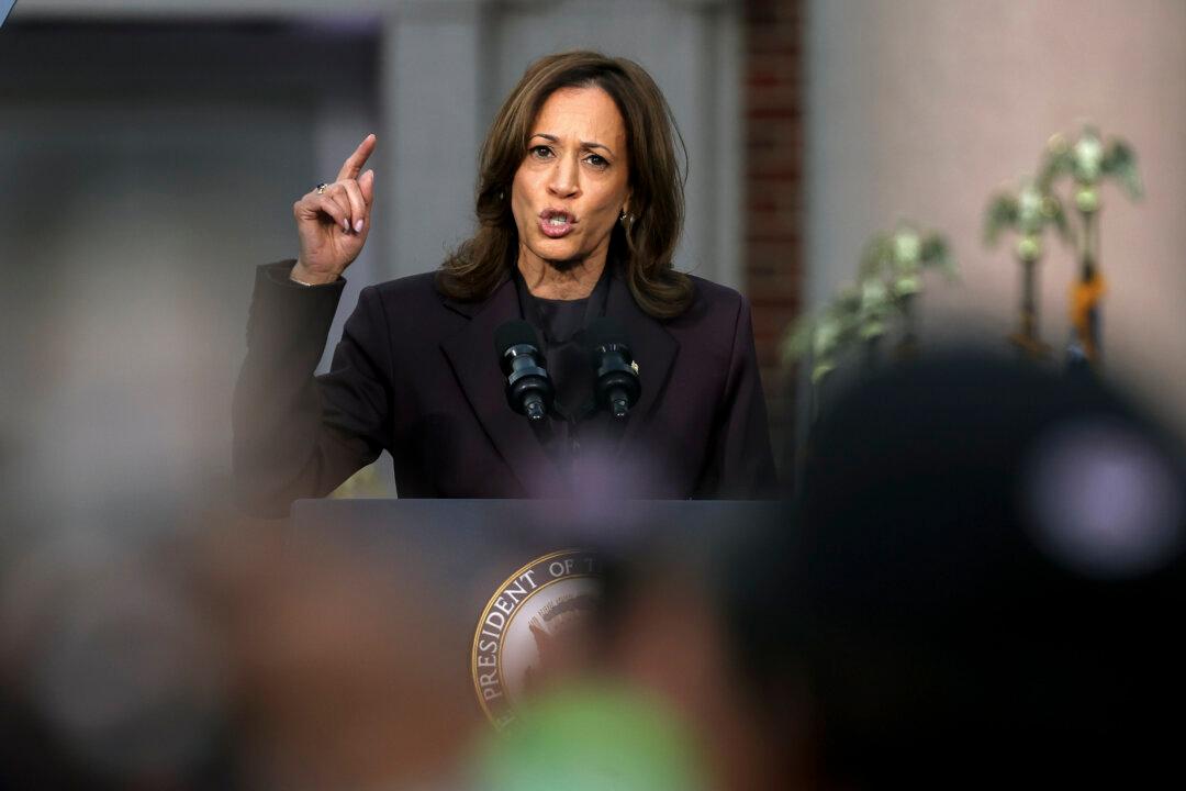 Top 3 Reasons Voters Gave for Not Supporting Harris: Poll