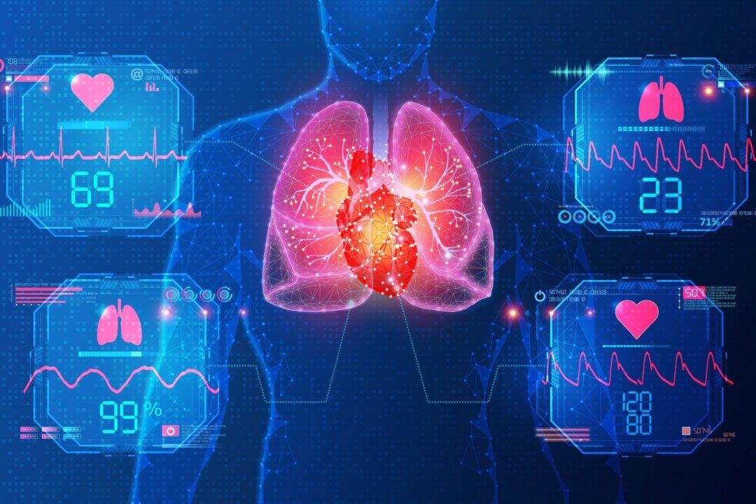 HRV: The Valuable Heart Rate Signal Few Are Measuring
