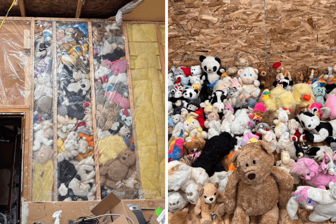 BC Couple Uncovers Wall Filled With Stuffies, Turns It Into a Good-Deed Opportunity