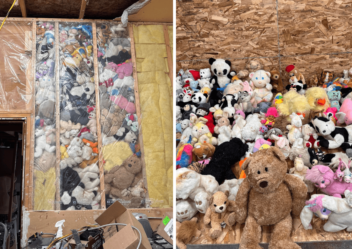BC Couple Uncovers Wall Filled With Stuffies, Turns It Into a Good-Deed Opportunity