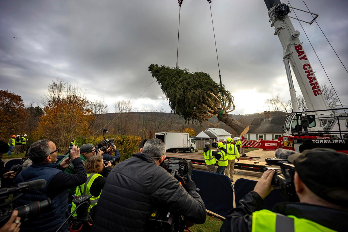 74-Foot Christmas Tree En Route to NYC’s Rockefeller Center