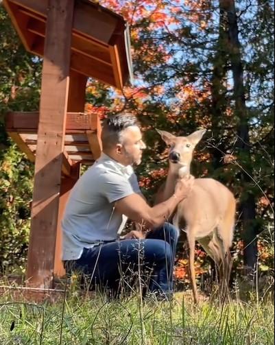 Jeff Letendre first met Fairy the deer over one and a half years ago. (Courtesy of <a href="https://www.instagram.com/jeffletendre/">Jeff Letendre</a>)