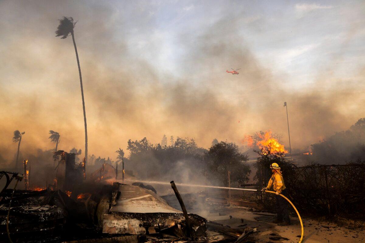 Firefighters work against the Mountain Fire near Camarillo, Calif., on Nov. 6, 2024. (Ethan Swope/AP Photo)