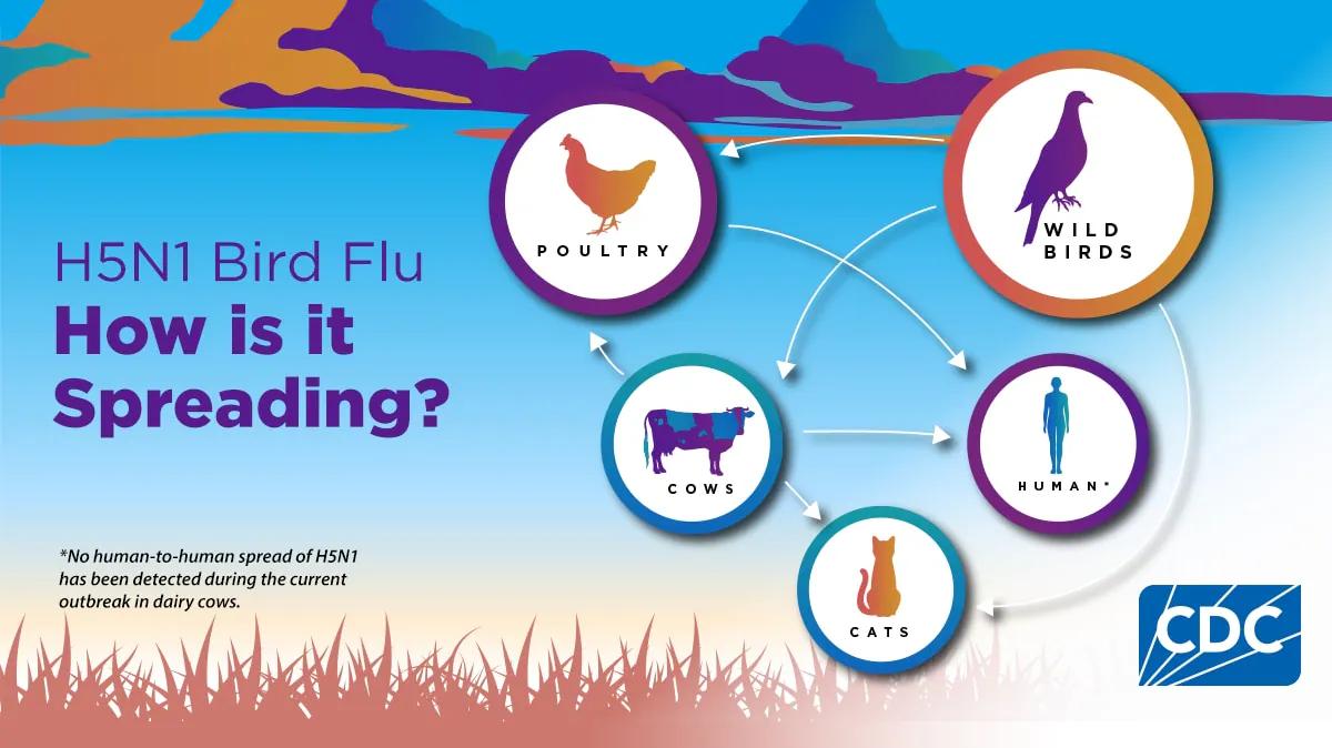 (U.S. Centers for Disease Control and Prevention)