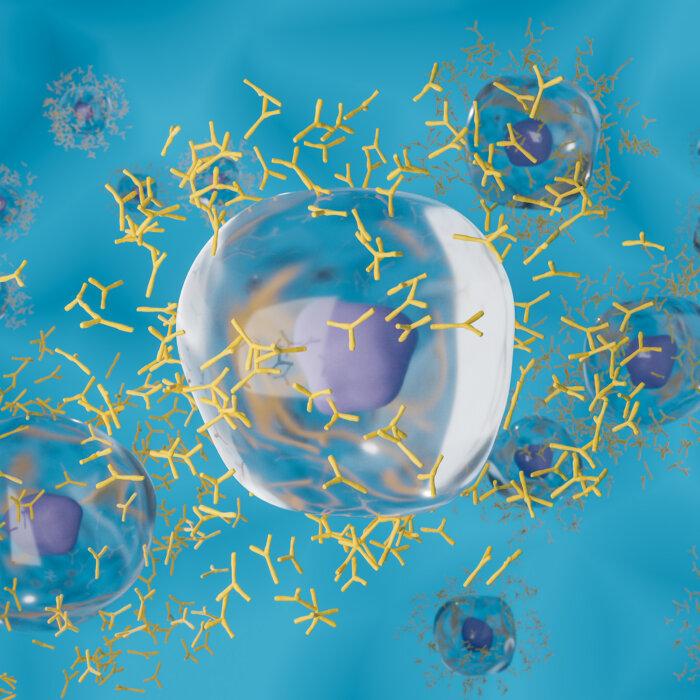 Study Reveals Why COVID-19 Vaccine Antibodies Wane Rapidly