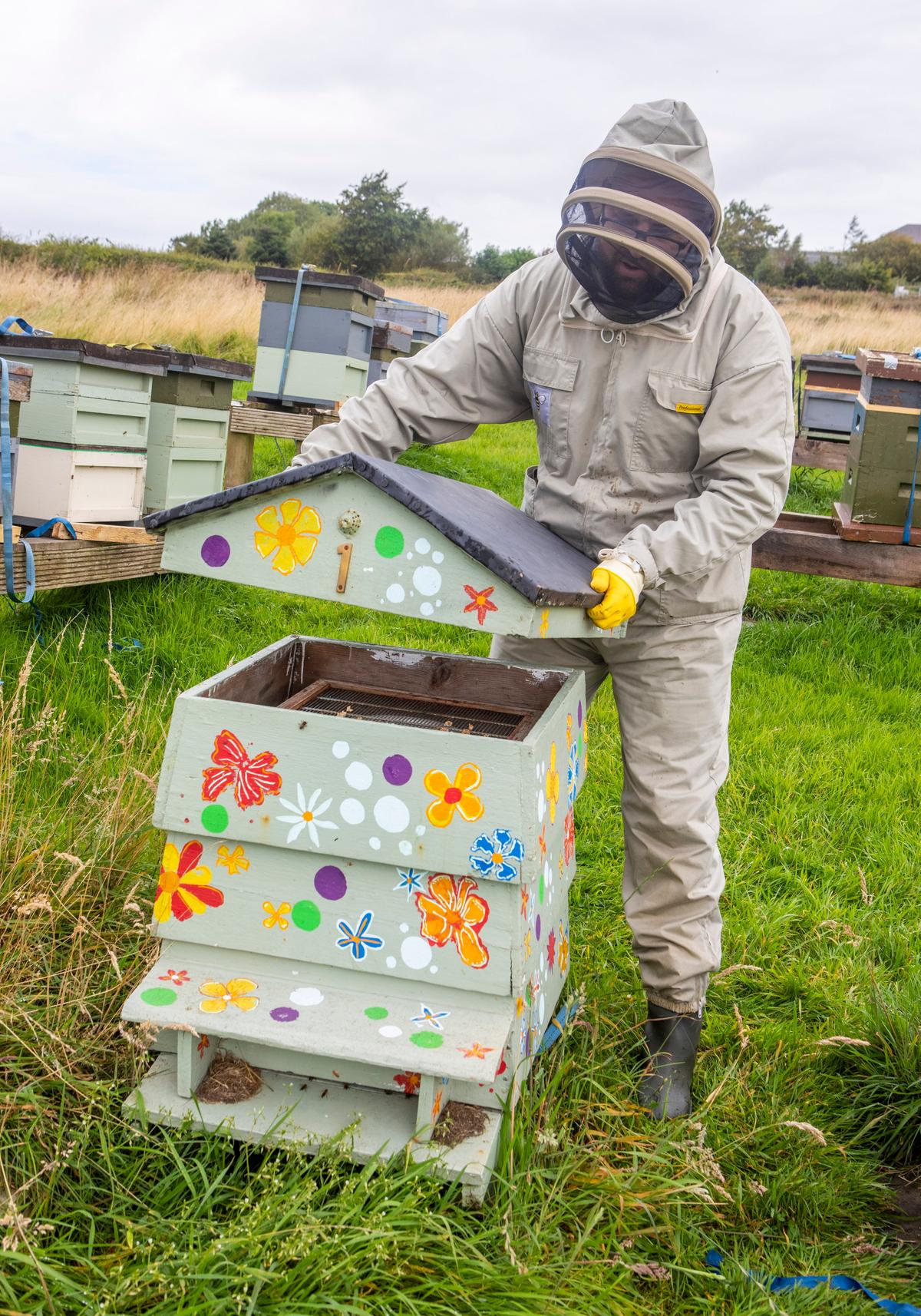 Ross Main found his grandfather's lost hives thriving in an abandoned quarry. (SWNS)