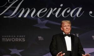 Trump Fills His Cabinet