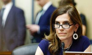 61 Democrats Join GOP to Pass Bill to Deport Illegal Immigrants for Domestic Violence, Sex Crimes