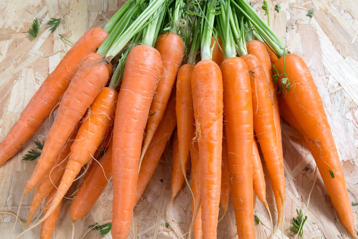 Dozens Sickened and 1 Person Died After Eating Carrots Contaminated With E. Coli