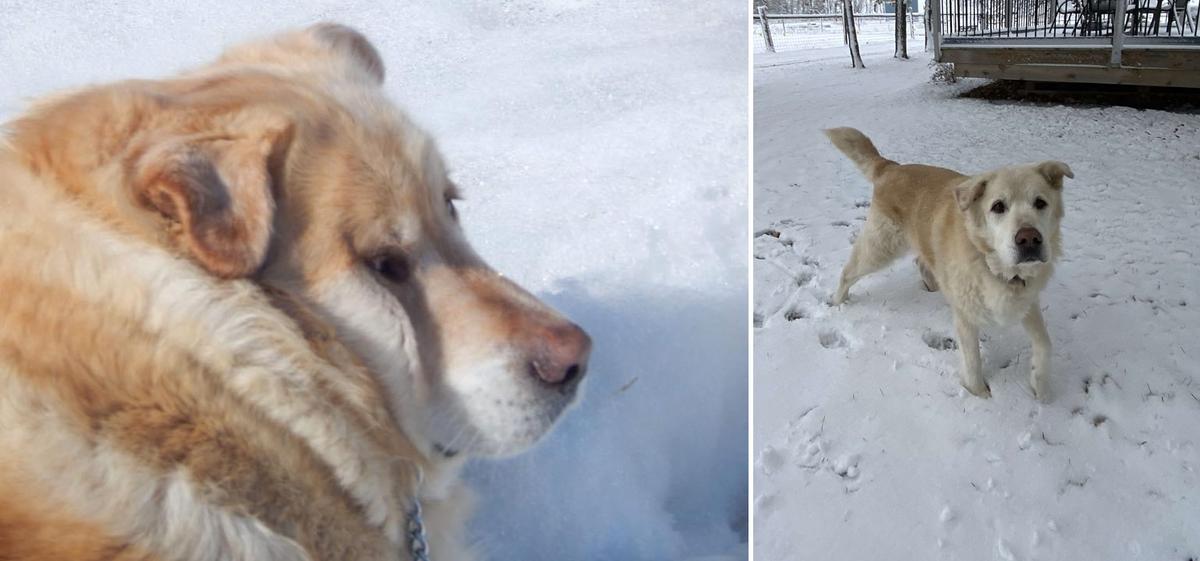 Kai before and after losing 100 pounds. (Courtesy of Pam Heggie)