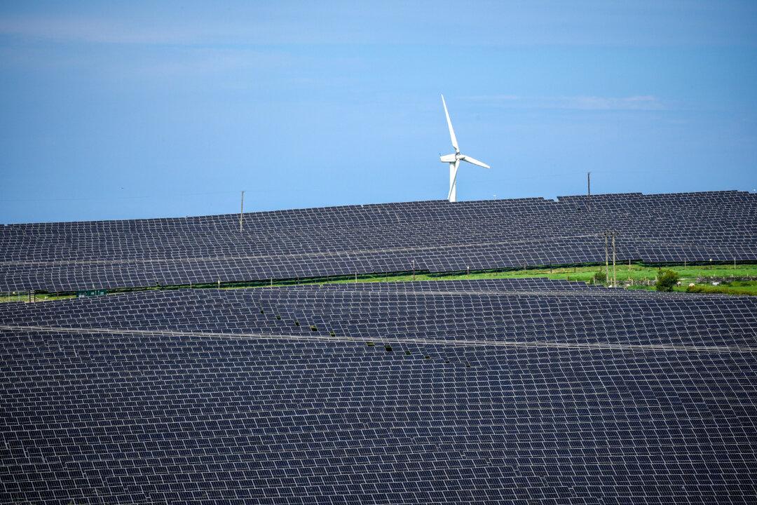 Forced to Fight for Our Livelihoods: Queensland Farmers Protest Solar Farm at Inquiry