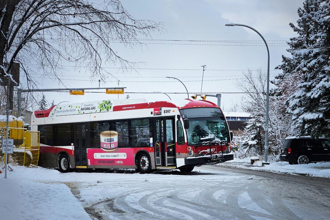Calgary Drivers Slip and Slide in City’s First Big Snowfall of the Season