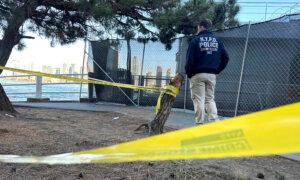 3 People Killed in Random Stabbings in New York City, Suspect in Custody