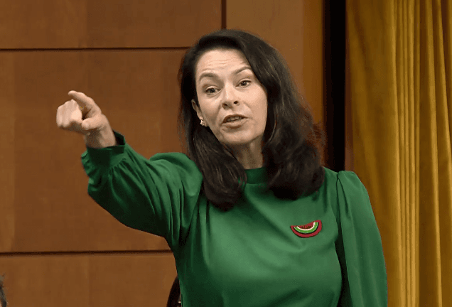 NDP MP’s Pin Supporting Palestinians Draws Warning From House Speaker