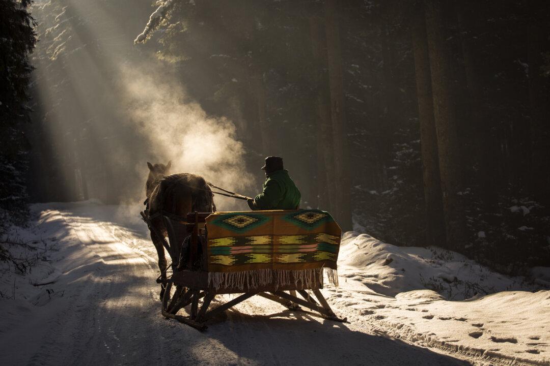 Real Poetry Part 2: The Antidote to the Ersatz and Confused