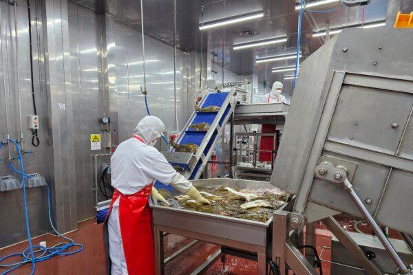 Eunha Fisheries Manufacturing Site. (Eunha Fisheries)