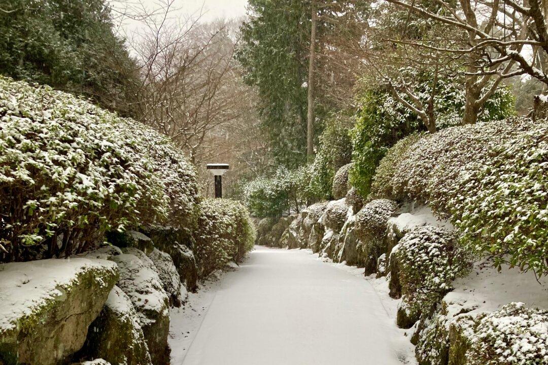 Ice-Melting Products for the Landscape