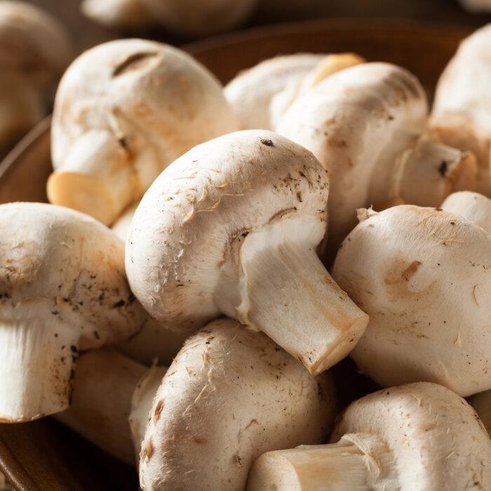 White Button Mushrooms May Help the Body Fight Cancer