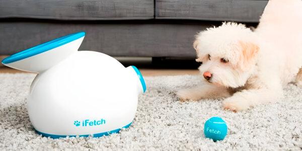 (iFetch)