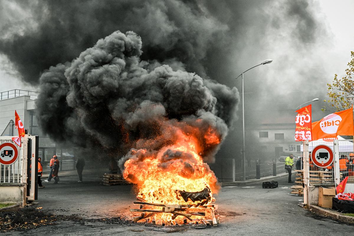 Day in Photos: Deputies Brawl, Plane Wreckage, and Pardoned Turkeys thumbnail