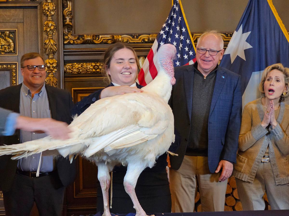 Tim Walz Accepts Turkey Presentation as He Eases Back Into His Duties as Minnesota’s Governor