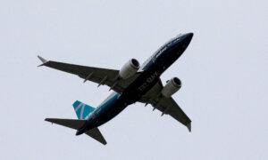 FAA Will Not Require Immediate 737 MAX Engine Action After Bird Strikes