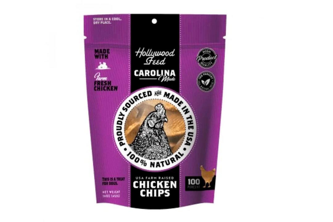 Dog Treats Recalled Over Salmonella