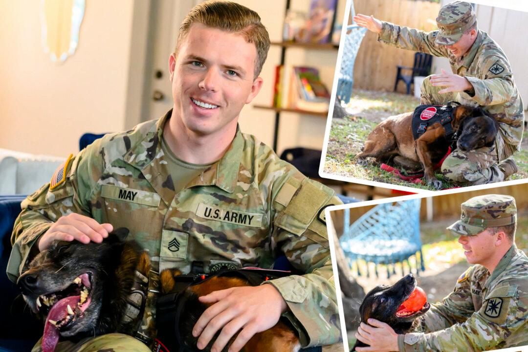 Retired Military Dog Reunited With His Handler After 2 Years Apart—Just in Time for Thanksgiving