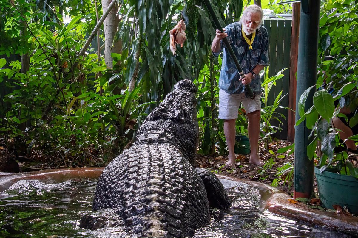 World’s Largest Captive Crocodile Cassius Dies in Australia