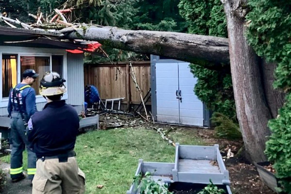 ‘Bomb Cyclone’ Kills 2 and Knocks Out Power to Over Half a Million Homes Across the Northwest US